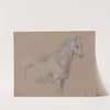 A Mare; Possibly a Study for 'L'Amour de Cheval' by James Ward