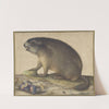 A Marmot with a Branch of Plums by Jacopo Ligozzi