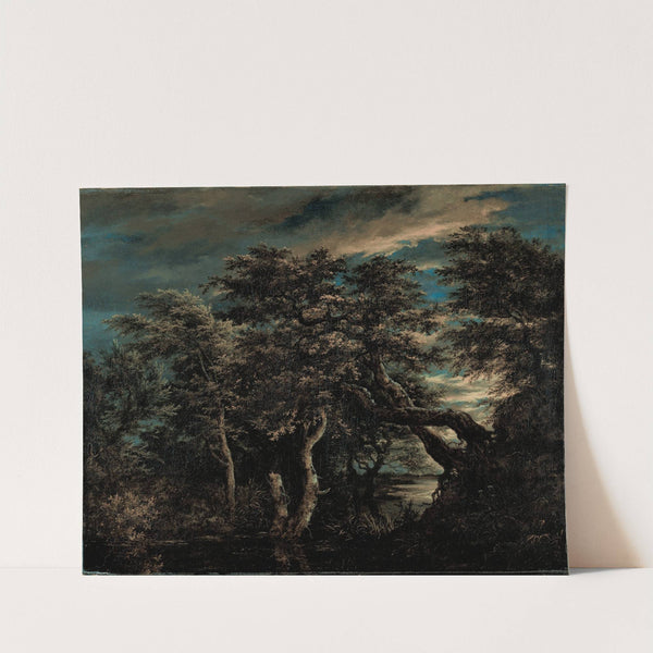 A Marsh in a Forest at Dusk (1660) by Jacob van Ruisdael