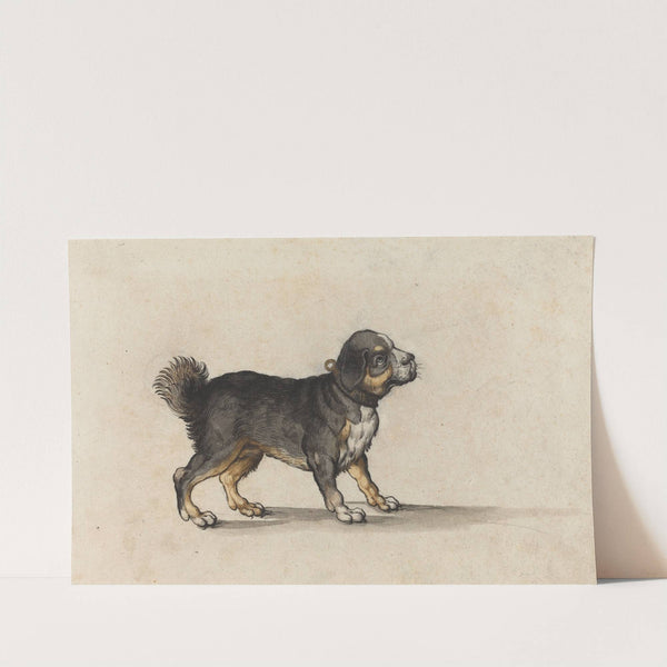 A Mastiff with a Gold-Tooled Collar by Jakob Walther