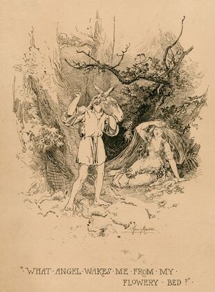 A Midsummer night’s dream; What angel wakes me from my flowery bed (1901)