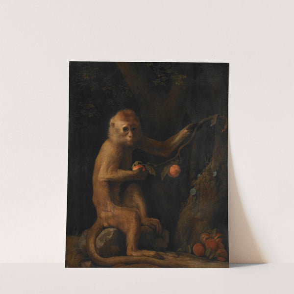 A Monkey (1799) by George Stubbs
