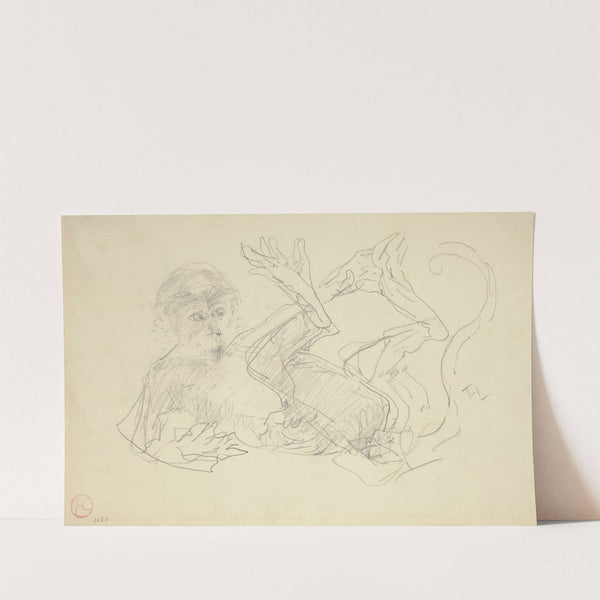A Monkey Playing on His Back by Henri de Toulouse-Lautrec