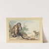 A Monkey Sitting on a Rock Looking at a Civet (1764) by Aert Schouman