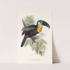 A monograph of the Ramphastidae, or family of toucans Pl.09 by John Gould