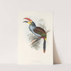 A monograph of the Ramphastidae, or family of toucans Pl.27 (1833) by John Gould