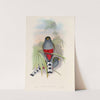 A monograph of the Trogonidae or family of trogons Pl.10 by John Gould