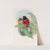 A monograph of the Trogonidae or family of trogons Pl.23 by John Gould