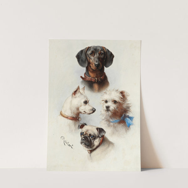 A motley crew by Carl Reichert