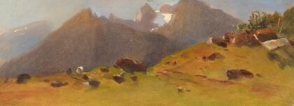 A mountain pasture
