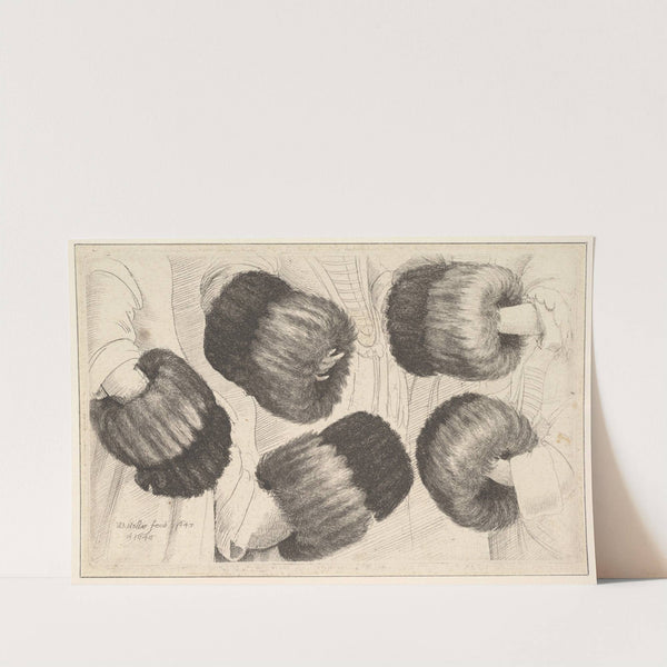 A Muff in Five Views (1645–46) by Wenceslaus Hollar