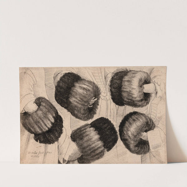 A Muff in Five Views by Wenceslaus Hollar