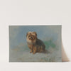 A Norfolk terrier (1917) by Archibald Thorburn
