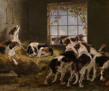 A Pack of Hounds