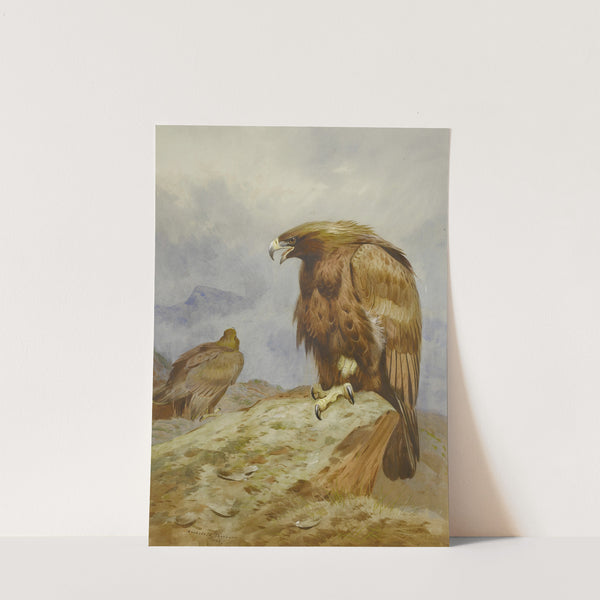 A Pair Of Golden Eagles by Archibald Thorburn