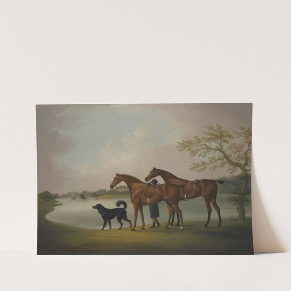 A Pair Of Hunters Held By A Groom, With A Newfoundland Dog, By A Lake by Daniel Clowes