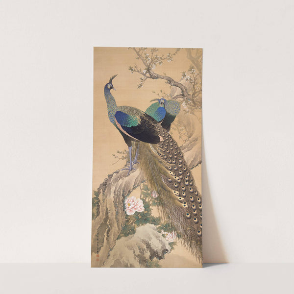 A Pair of Peacocks in Spring (1901) by Imao Keinen