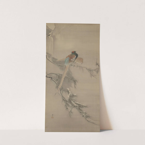 A Pair of Pheasants on Snowy Branches by Ohara Koson