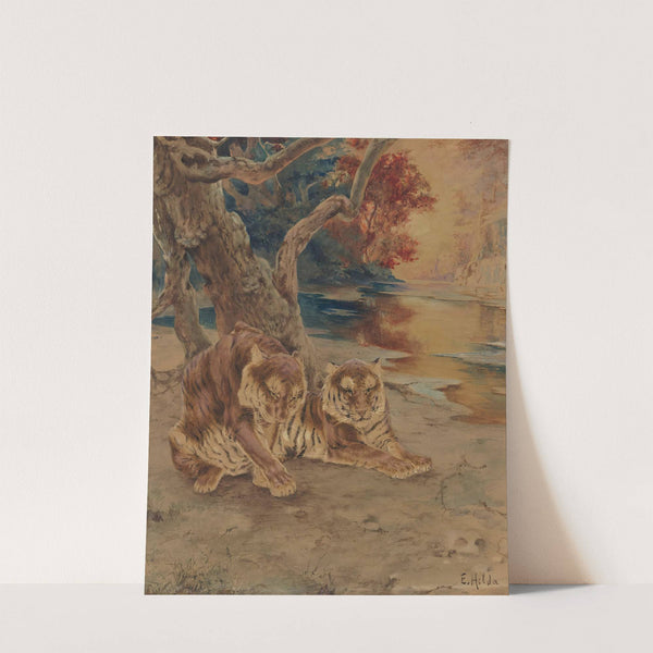 A Pair Of Tigers Resting Under A Tree by E. Baily Hilda