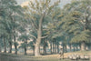 A Park Landscape with Shepherd and Sheep