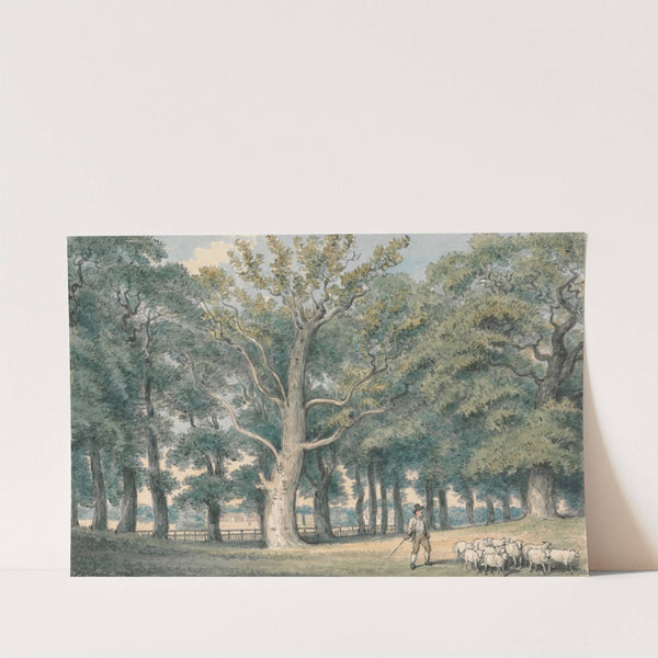 A Park Landscape with Shepherd and Sheep by Samuel Howitt
