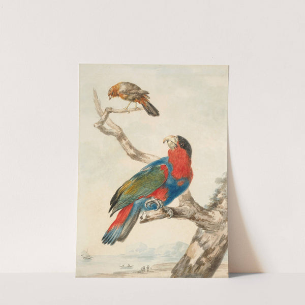 A parrot and another bird on a branch near a littoral by Abraham Meertens