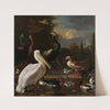 A Pelican and other Birds near a Pool, Known as ‘The Floating Feather’ (c. 1680) by Melchior d'''Hondecoeter
