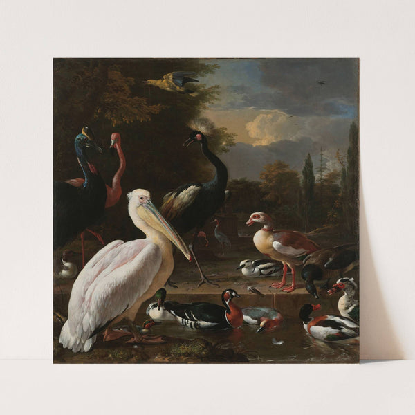 A Pelican and other Birds near a Pool, Known as ‘The Floating Feather’ (c. 1680) by Melchior d'''Hondecoeter