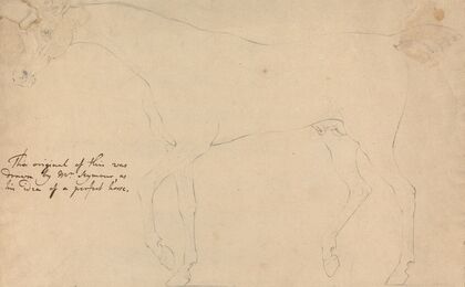 A Perfect Horse