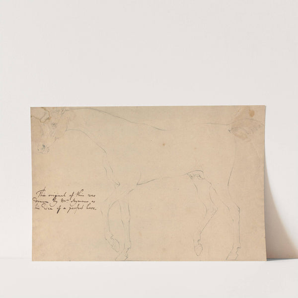 A Perfect Horse by Sawrey Gilpin