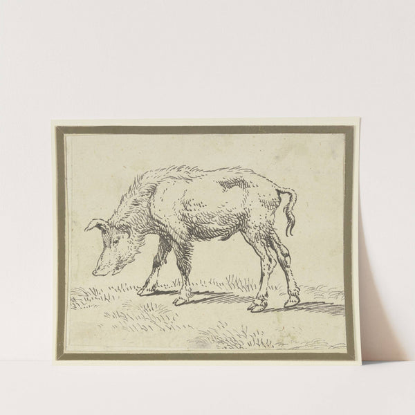 A pig to the left by Paulus Potter