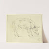 A pig to the right by Paulus Potter