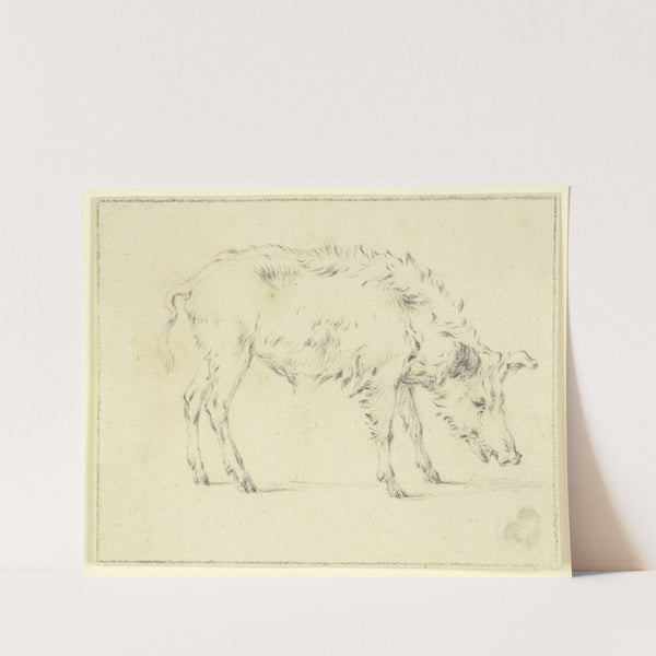 A pig to the right by Paulus Potter