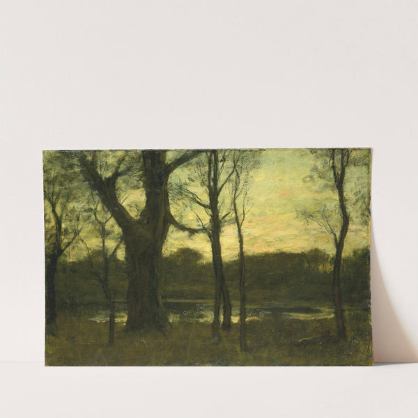 A Pool in the Forest by Benjamin Rutherford Fitz