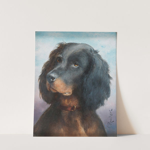 A Questioning Look by Carl Reichert