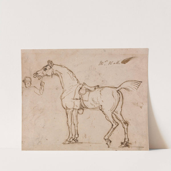 A Racehorse, Bridled and Saddled by James Seymour