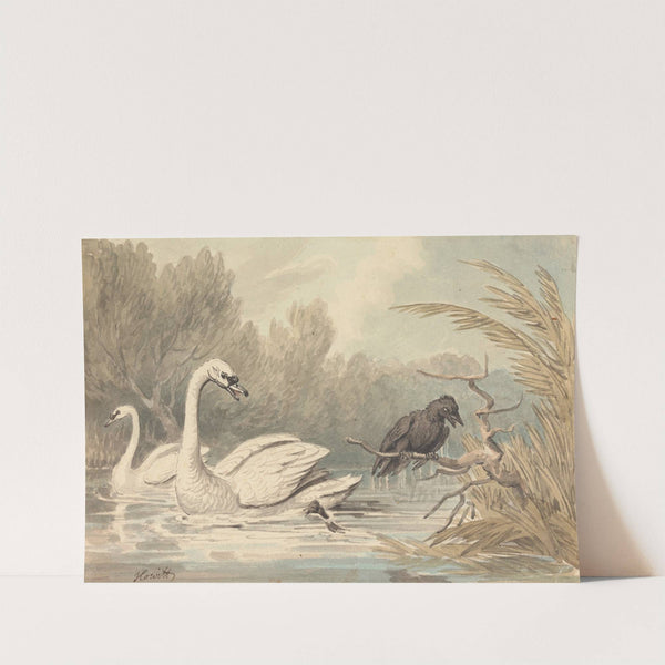 A Raven and Two Swans by Samuel Howitt