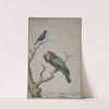 A Red-Fan Parrot (Deroptyus accipitrinus) and a Tawny-Shouldered Blackbird (Agelaius humeralis) by Jabes Heenck