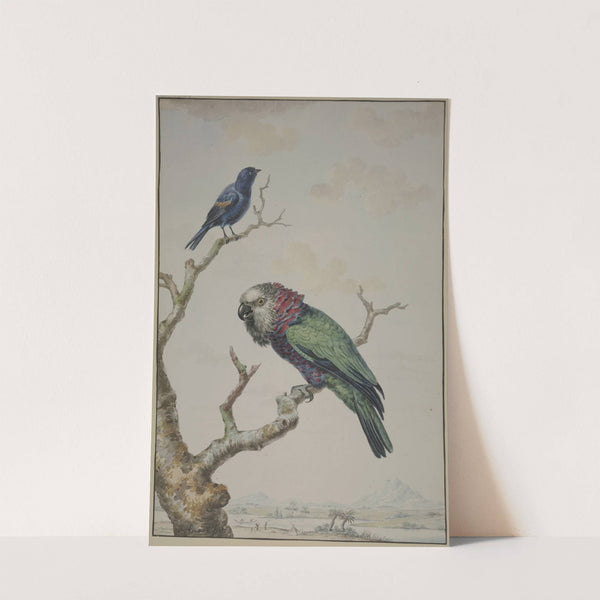 A Red-Fan Parrot (Deroptyus accipitrinus) and a Tawny-Shouldered Blackbird (Agelaius humeralis) by Jabes Heenck