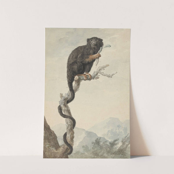 A Red-handed Tamarin by Jacob Perkois