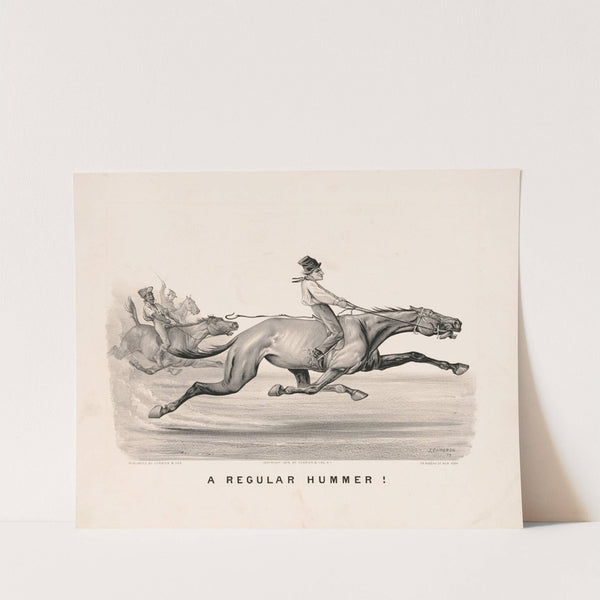 A regular hummer! (1879) by John Cameron