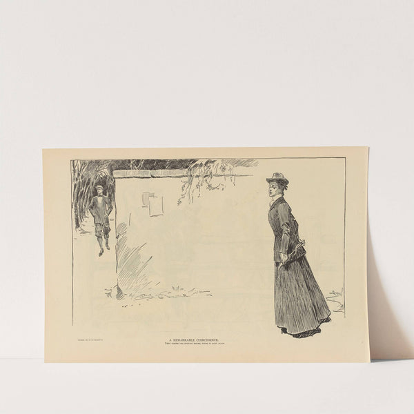 A remarkable coincidence (1893-1900) by Charles Dana Gibson