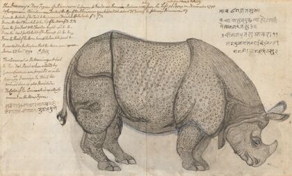 A Rhinoceros in the Pashwa’s Menagerie at Poona