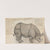A Rhinoceros in the Pashwa's Menagerie at Poona by Gangaram Chintaman Tambat