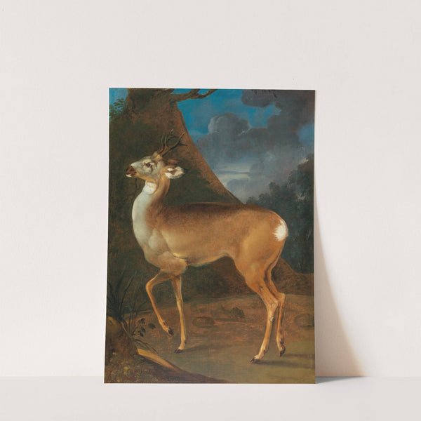 A roebuck by Heinrich Lihl