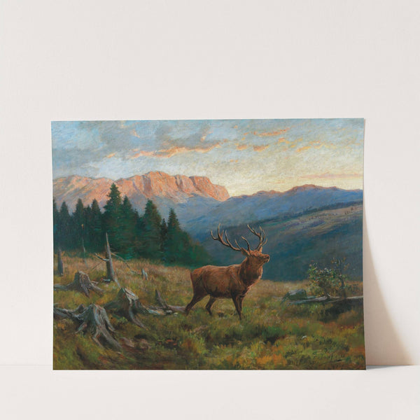A Royal Stag at Dusk by Franz Xaver von Pausinger