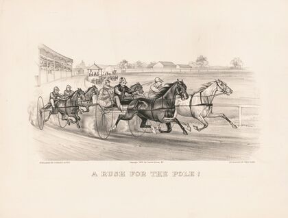 A rush for the pole! (1877)