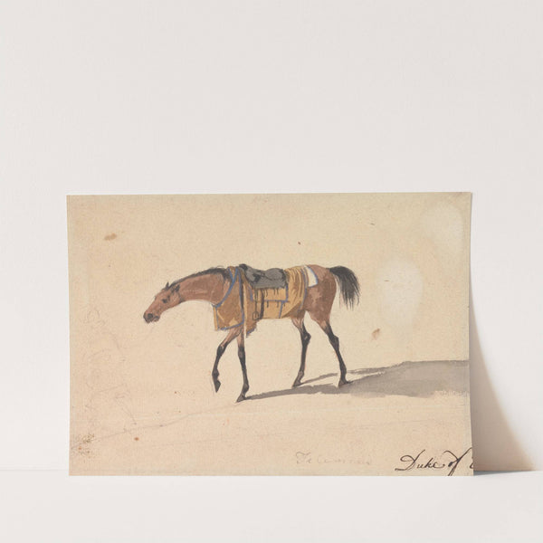 A Saddle Horse of the Duke of Devonshire by Peter Tillemans