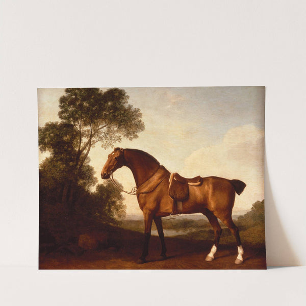 A Saddled Bay Hunter (1786) by George Stubbs