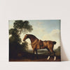 A Saddled Bay Hunter (1786) by George Stubbs